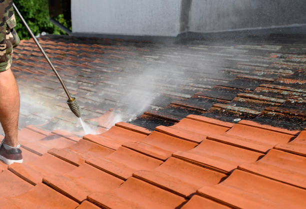 Pressure Washing Brick in Lake Butler, FL
