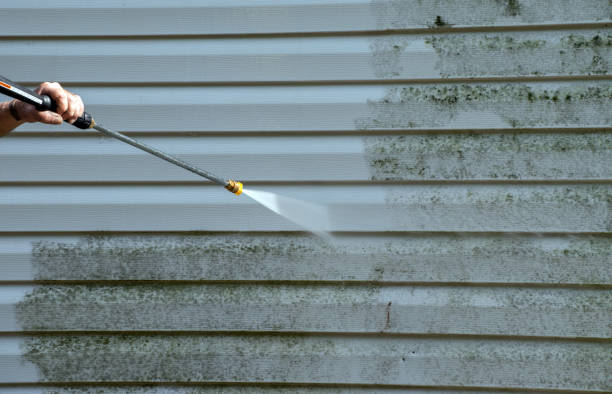 Best Deck Pressure Washing  in Lake Butler, FL