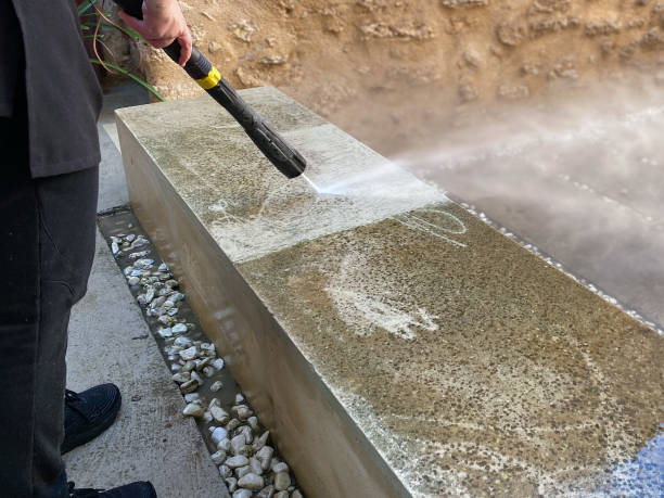 Best House Pressure Washing  in Lake Butler, FL