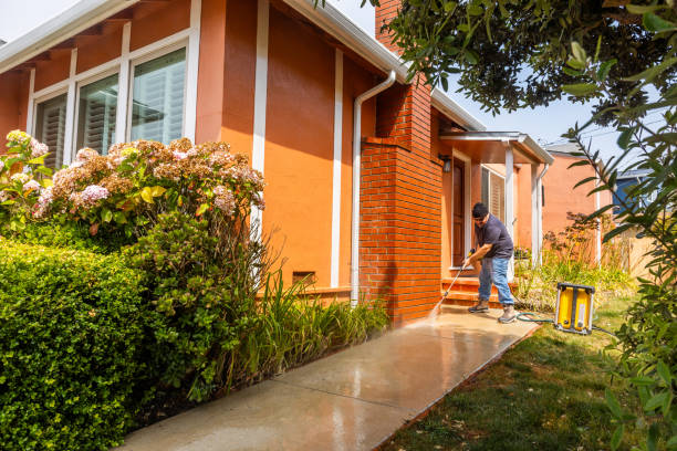 Best Deck Cleaning Services  in Lake Butler, FL
