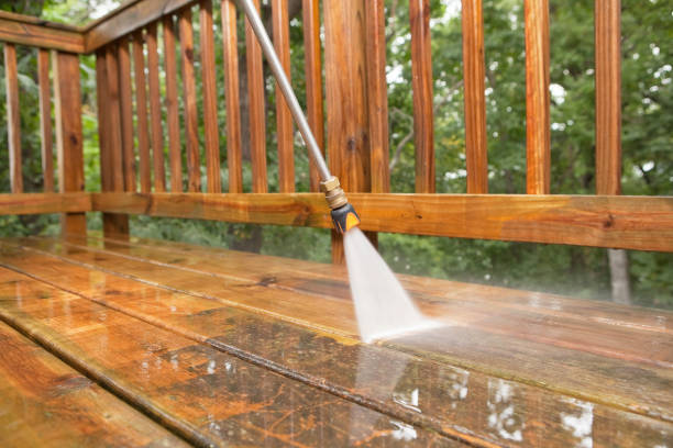 Best Affordable Pressure Washing  in Lake Butler, FL