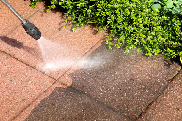 Best Pressure Washing Brick  in Lake Butler, FL